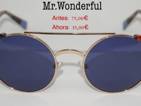 Mr. Wonderful 29010 596